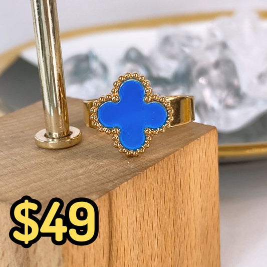 Anillo de Acero Ajustable RAI1234-5