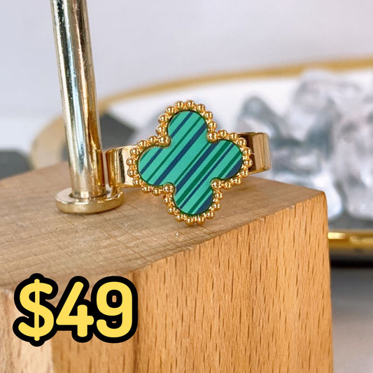 Anillo de Acero Ajustable RAI1234-6