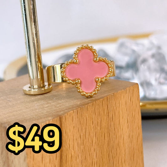 Anillo de Acero Ajustable RAI1234-4