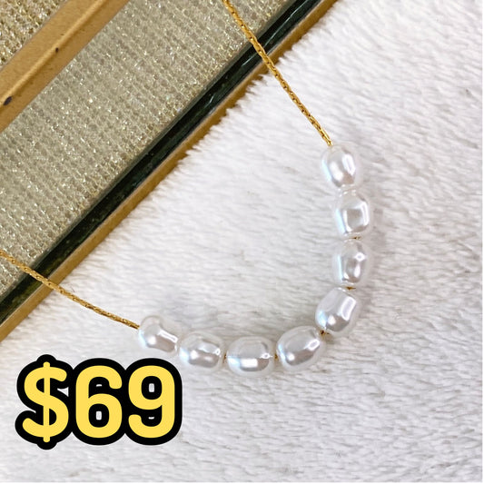 Collar de Acero Inoxidable CAI2500-1