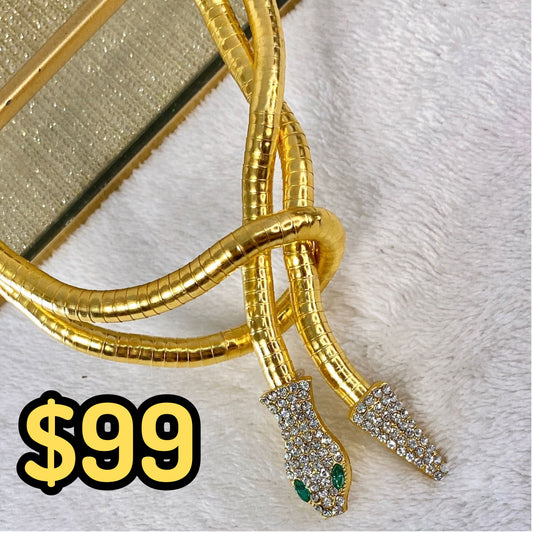 Collar de Chapa de Oro CC2137-1