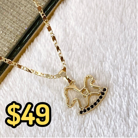 Collar de Chapa de Oro CC2144-2