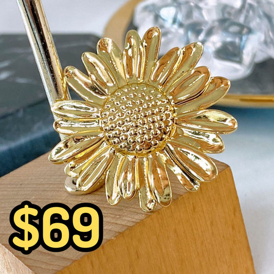 Anillo de Chapa de Oro Ajustable ACO1533-1