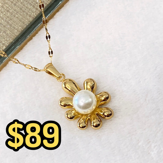 Collar de Acero Inoxidable CAI2642-1