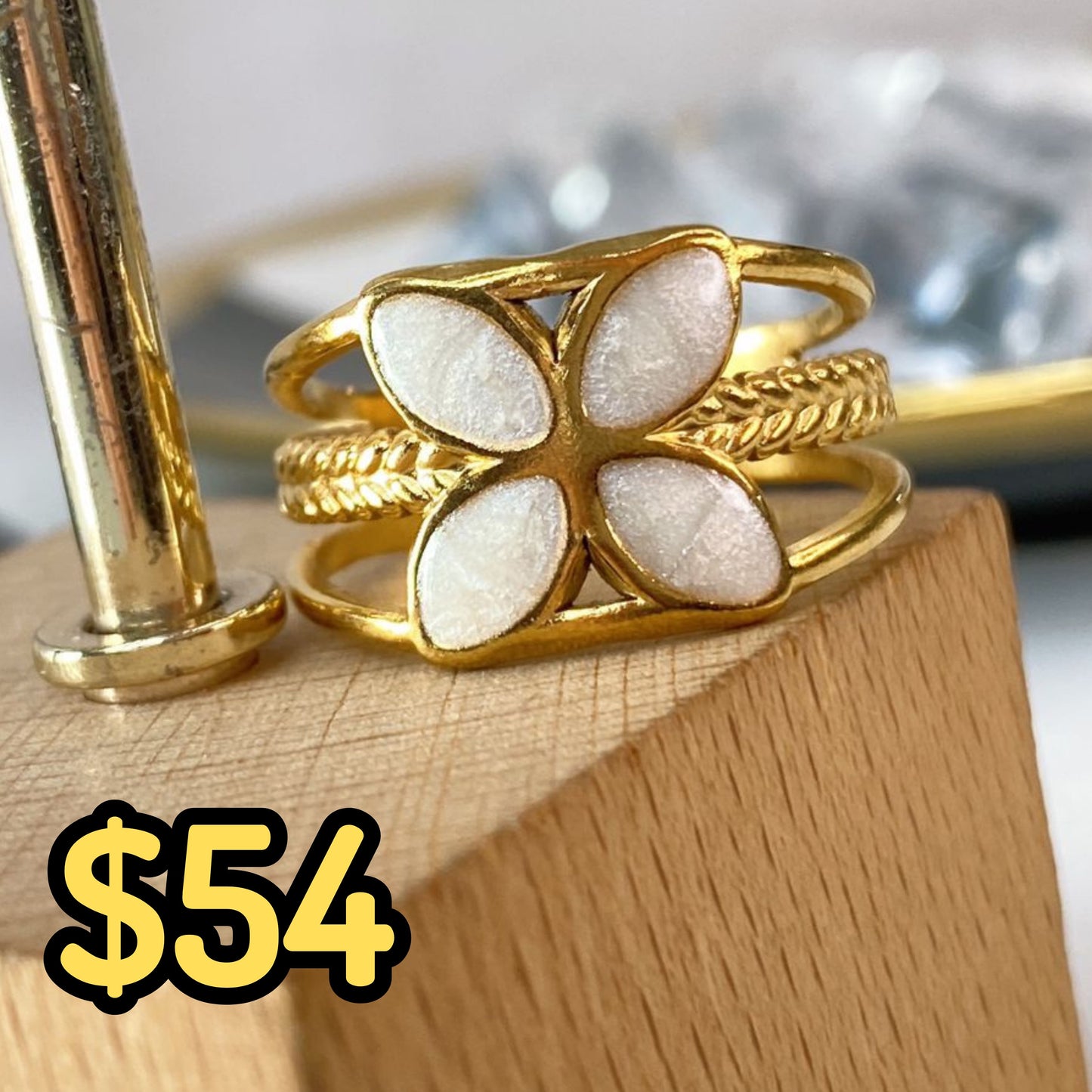 Anillo de Acero Inoxidable Ajustable RAI1064-1