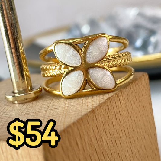 Anillo de Acero Inoxidable Ajustable RAI1064-1