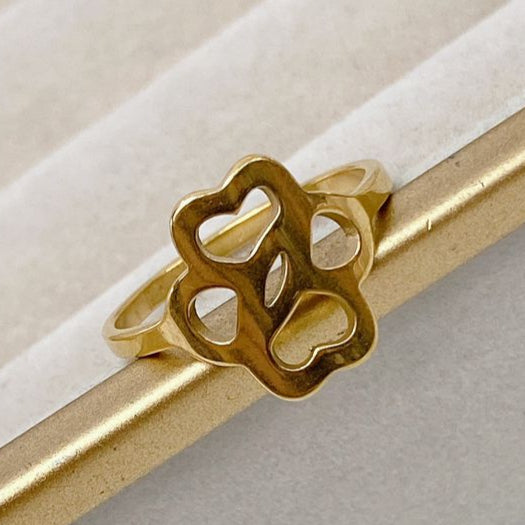 Anillo de Acero Ajustable RAI728-1