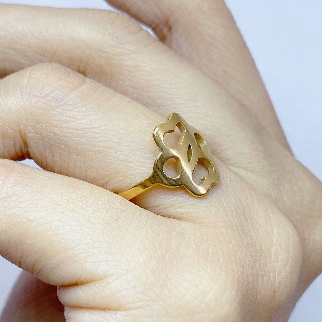 Anillo de Acero Ajustable RAI728-1