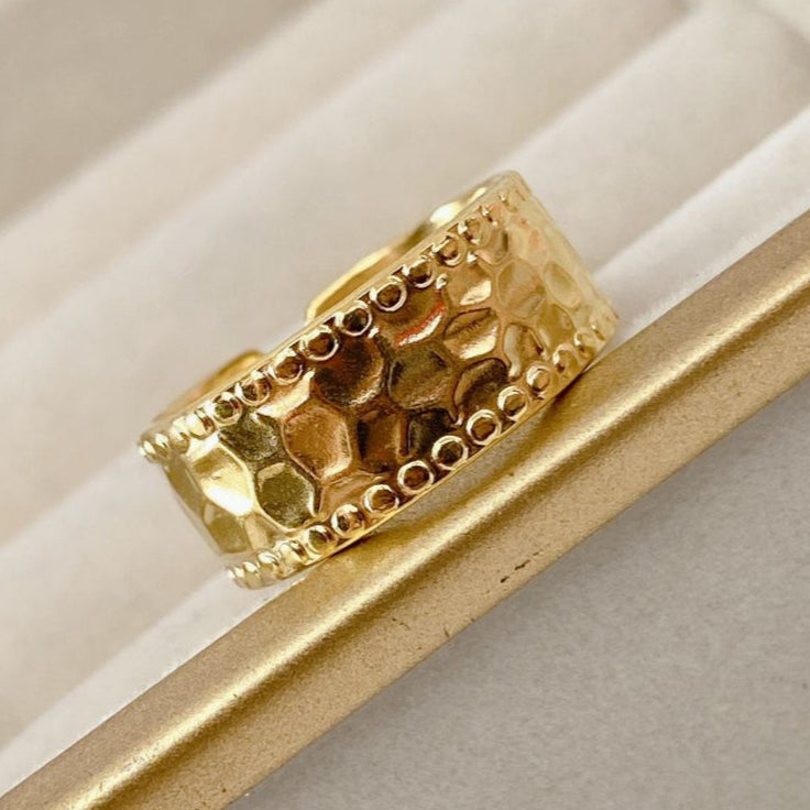Anillo de Acero Ajustable RAI845-1