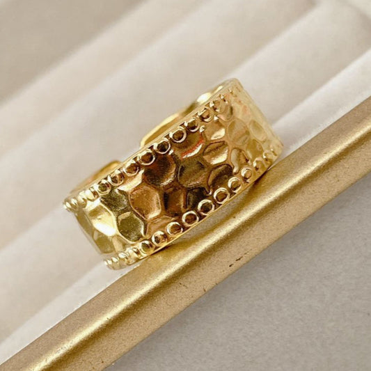 Anillo de Acero Ajustable RAI845-1